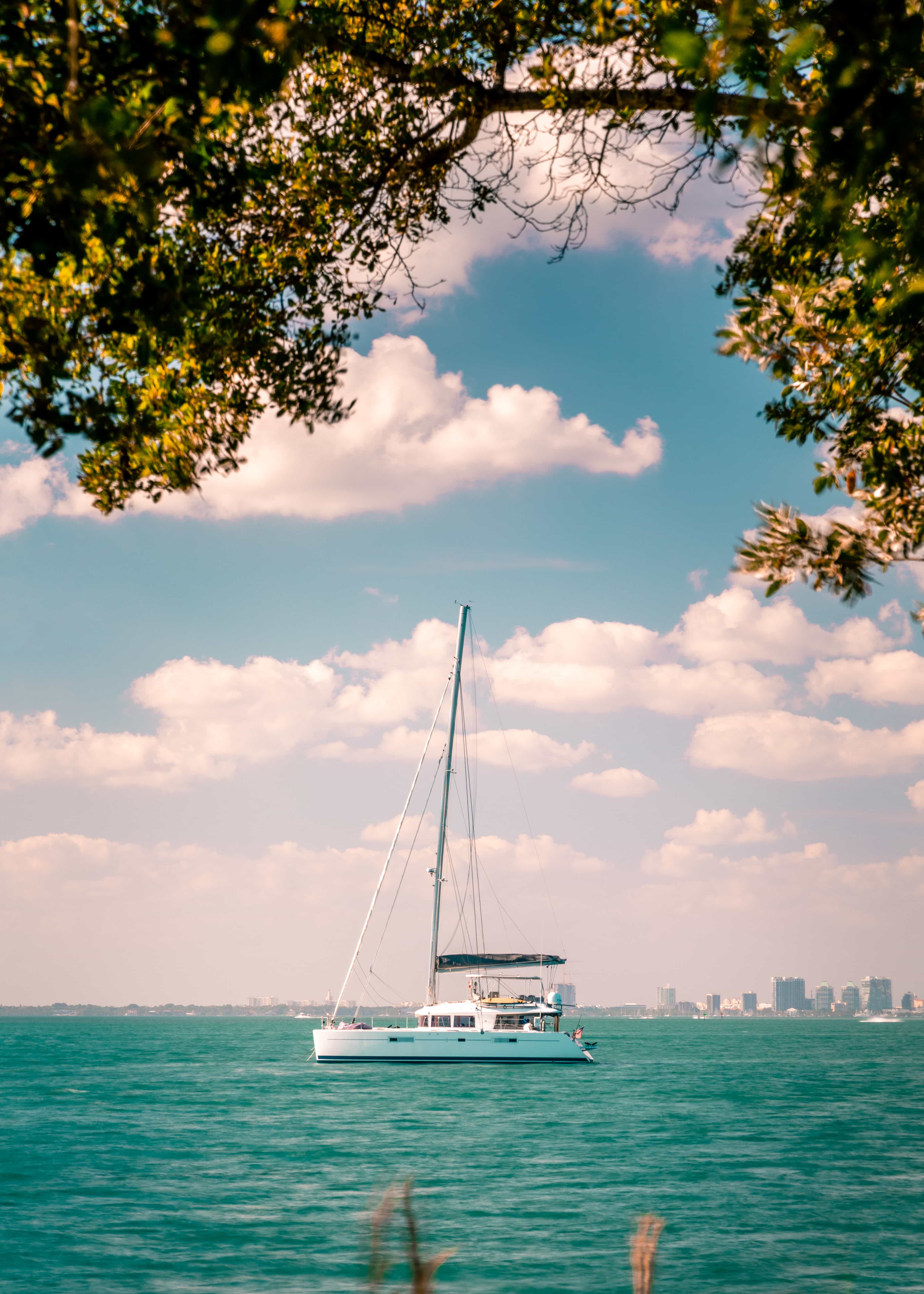 Sail boat in the water